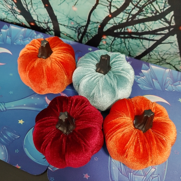 Velvety Pumpkins - Picture 2 of 3